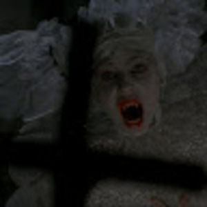 Meet your Posher, Molly